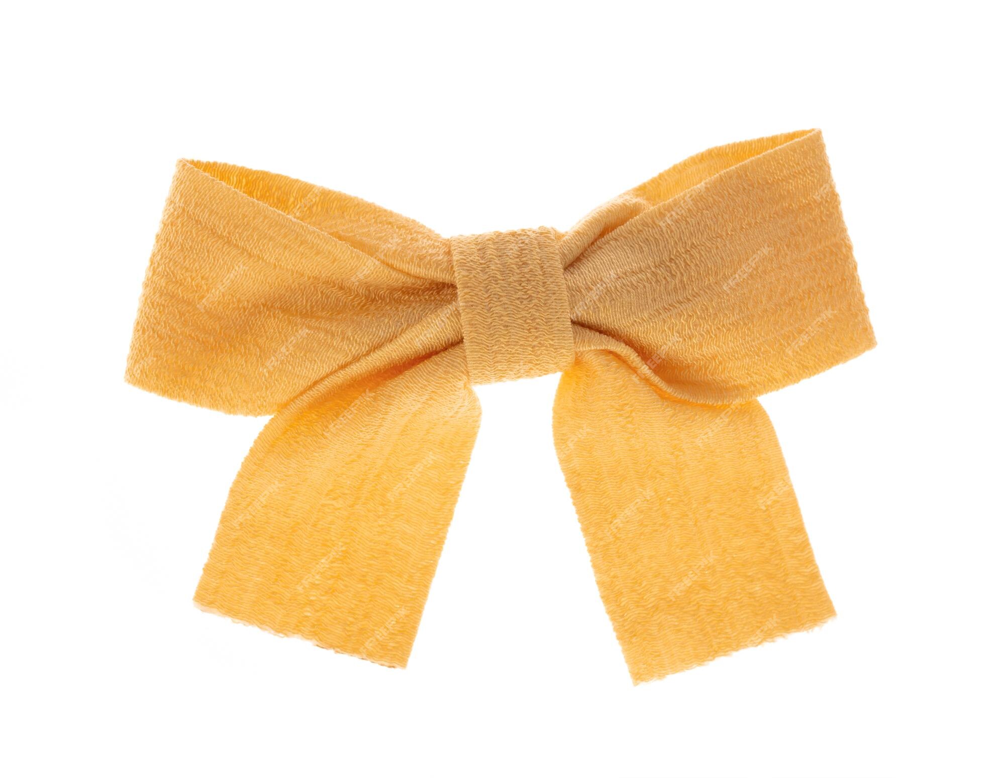 Blue and Yellow Hair Bow Tie - wide 8