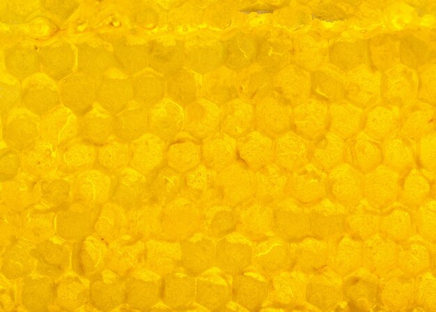 Yellow honeycomb under fresh honey