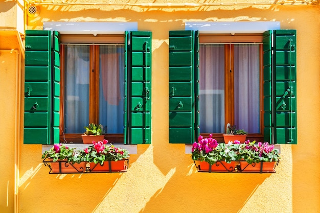 Yellow house and window with green shutters