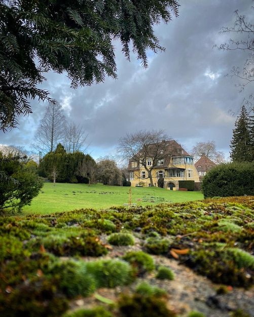 A yellow house with moss growing on the front