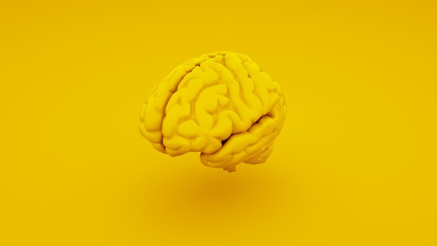 Yellow Human Brain, Anatomical Model. 3D illustration.