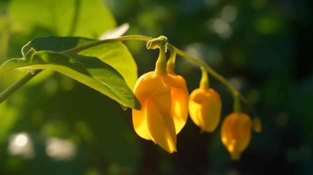 Yellow Jewelweed flower beautifully bloomed with natural background Generative AI