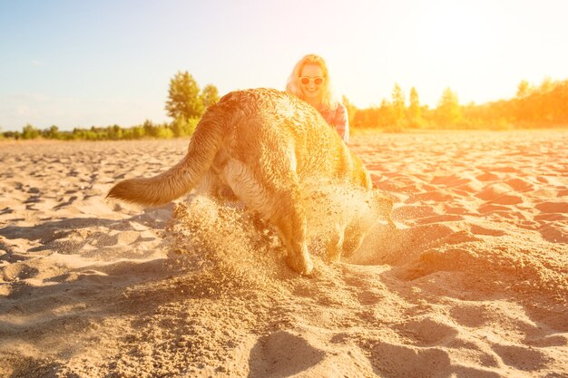 晴れた日の太陽フレアのビーチで砂を掘る黄色のラブラドールレトリバー