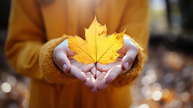 yellow leaf in a female hand autumn concept