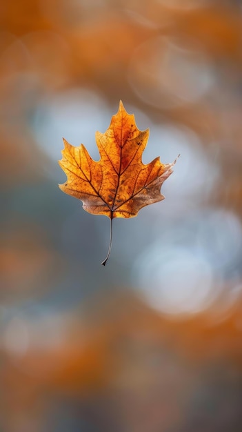 Yellow Leaf Floating in the Air