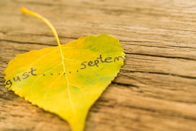 Yellow leaf with the inscription august september on the old wooden background with cracks