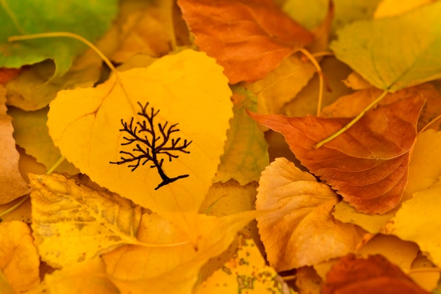 Желтый лист с изображением голого дерева на фоне опавшей осенней листвы
