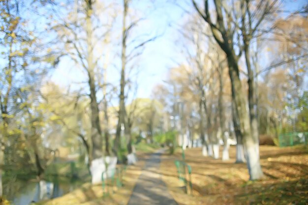 노란 잎 보케 계절 배경/아름다운 가을 잎 노란 가지 추상적 인 배경, 잎 가을 개념