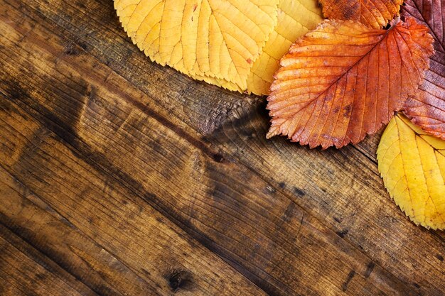 Yellow leaves on brown wooden background