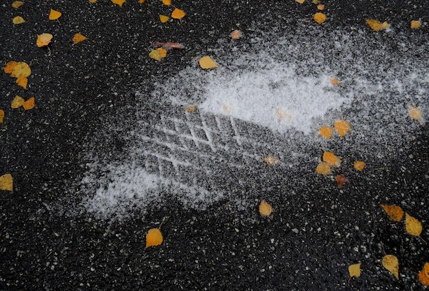 黄色の葉がタイヤの跡のある雪のパッチの周りのアスファルトで氷に凍りついた