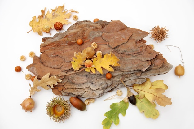 Yellow leaves and seeds