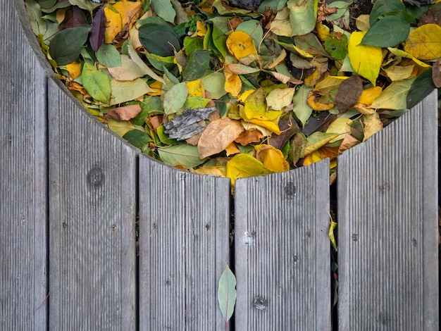 Yellow leaves and wood floor Autumn pattern