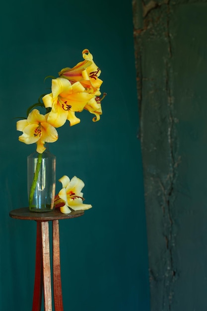 Yellow lilly on dark green background