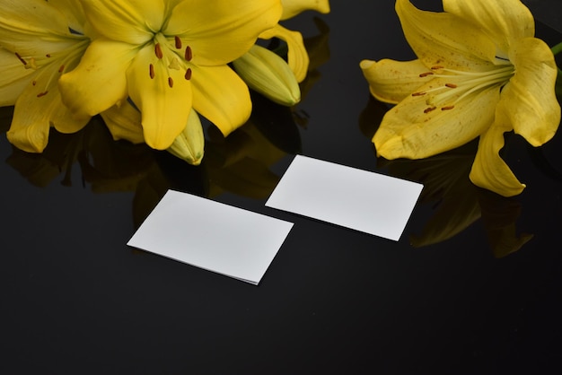 Yellow lily flower and card white