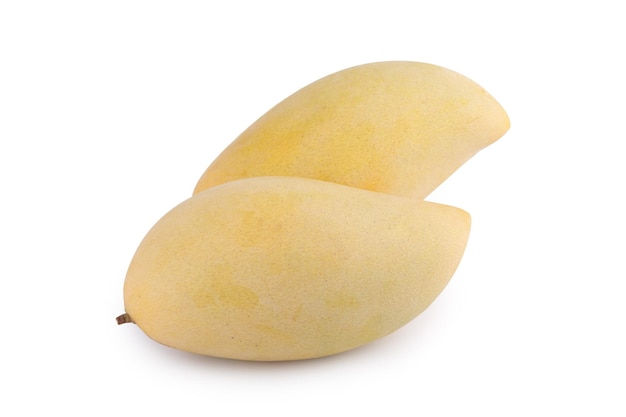 Yellow mango fruit on white background