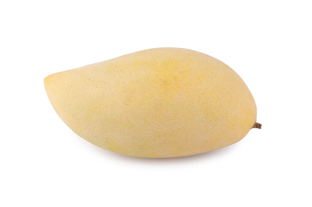 Yellow mango fruit on white background