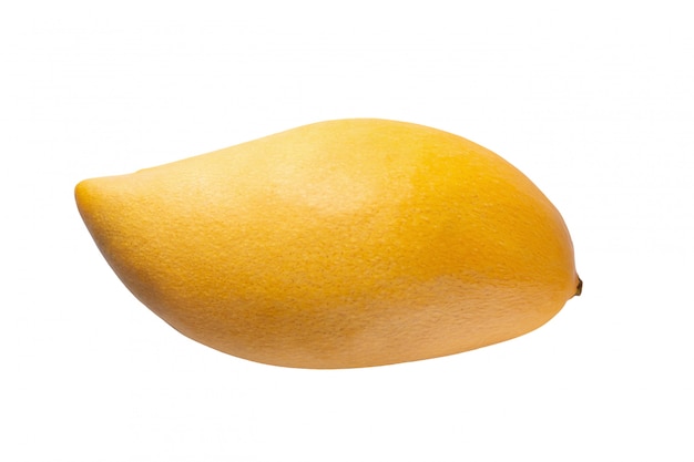 Yellow mango isolated on a white