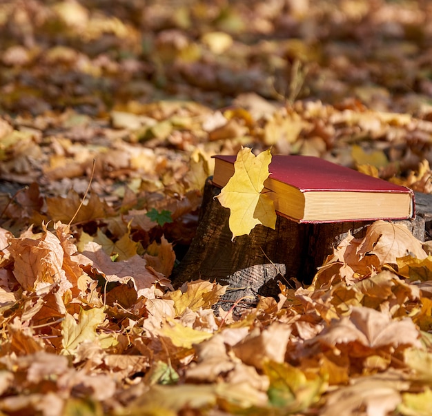 Photo yellow maple leaf and a closed book with a red cover