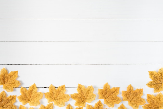 Yellow maple leaves on white woode