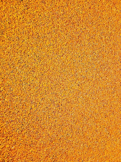 Foto fondo di fiori di calendula gialla