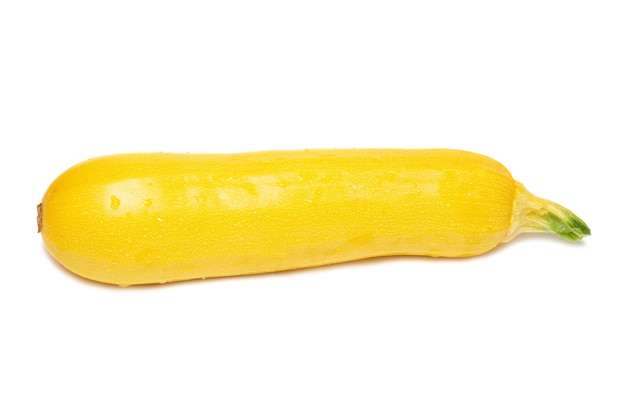 Yellow marrow isolated