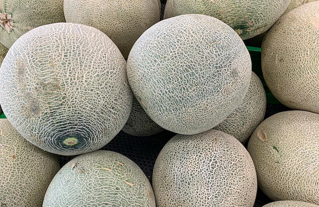 Yellow Melon Cucumis melo L on supermarket