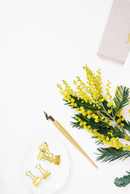 黄色のミモザの花の文房具とコピー スペース フラット レイアウトと白い背景の上のノートと書道用のペン