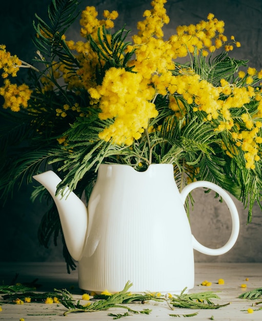 Yellow mimosa in white jug on a gray background