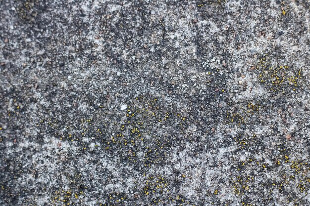 Yellow moss on a gray concrete surface background