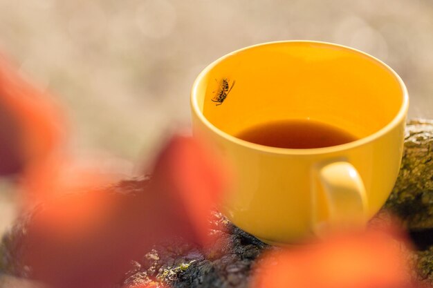 Yellow mug on autumn background