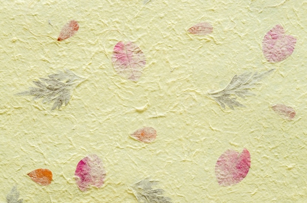 Yellow mulberry paper with petal and leaf texture background.