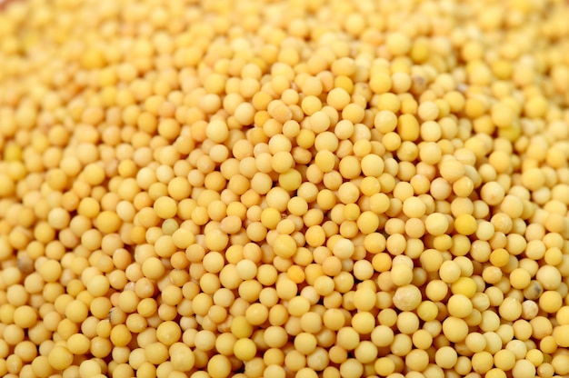 Yellow Mustard Seeds as a background texture