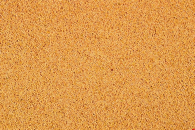 Yellow Mustard Seeds as a background texture