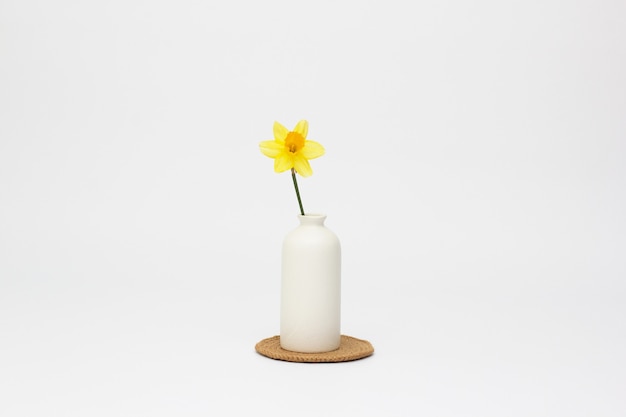 Yellow narcissus in a vase against white surface