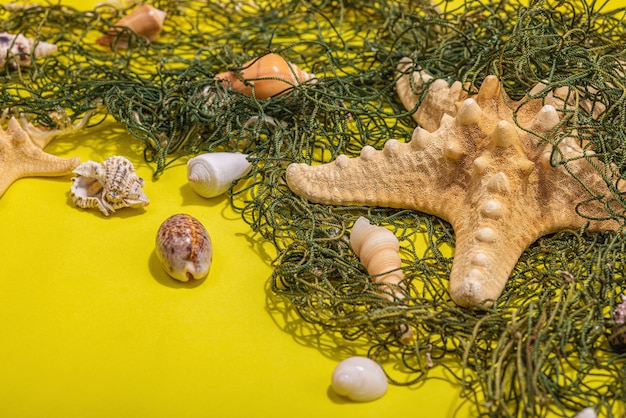 Yellow nautical background with sea shells starfishes and fishing net assorted marine animals vacation concept trendy hard light dark shadow flat lay close up