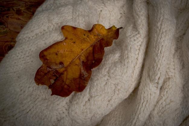 yellow oak leaf on white wool sweater