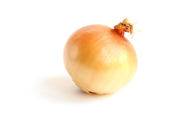 A yellow onion on a white background