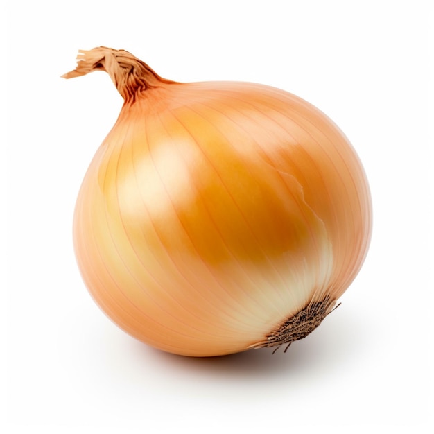 A yellow onion with a white background