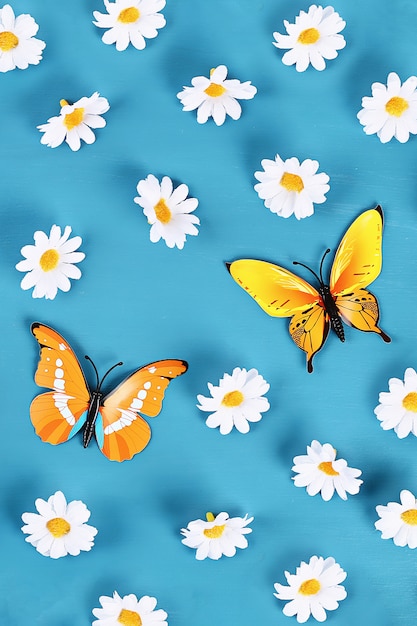 Yellow and orange butterflies and daisies on blue background. Top view. Summer background.