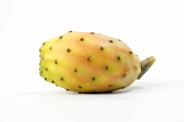 Yellow Orange Cactus Fruit Prickly Pear thorny juicy