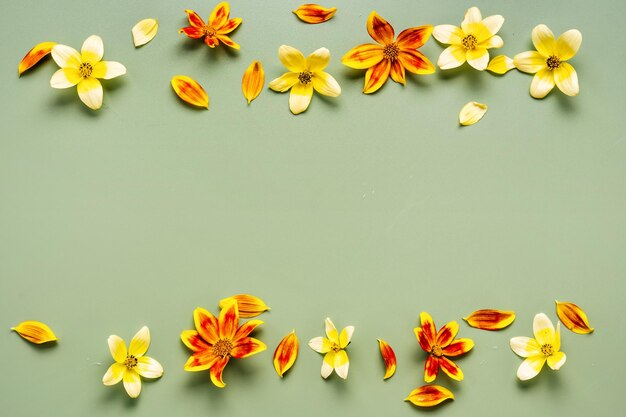 Yellow and orange flowers on green background