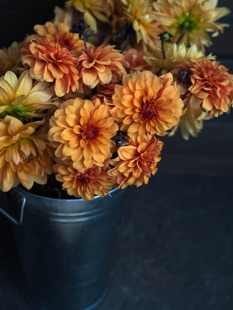 Yellow and orange garden dahlia flowers in metal bucket on a dark background