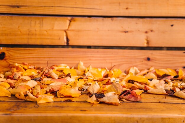 Yellow and orange leafs on empty wooden swings in the park on autumn day yellow foliage on the