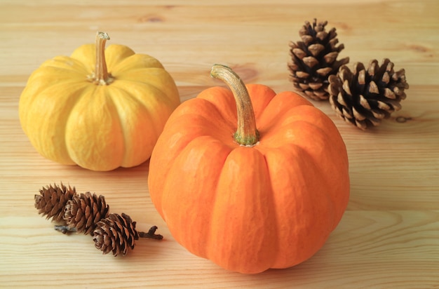 yellow and orange pumpkins with natural dry pine cones on the wooden table