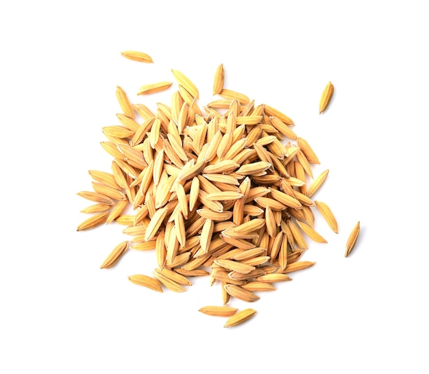 Yellow paddy jasmine rice isolated