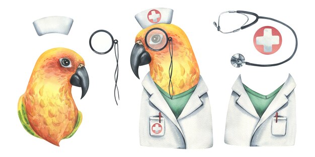 Yellow parrot is a doctor in a medical gown and a cap with pincenez Watercolor illustration Isolated objects on a white background from the VETERINARY collection For the design