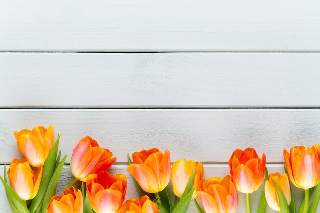 Yellow pastels color flowers on yellow background.Waiting for spring. Happy Easter card. Flat lay, top view. Copy space.