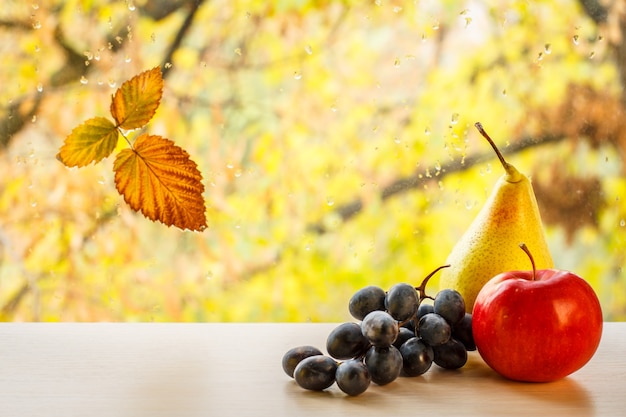 Yellow pears, grapes, red apple and dry leaf on window glass with water drops in the blurred natural background. Fallen leaf and rain drops on a windowpane with autumn trees in the background.