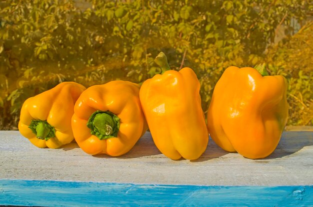 Yellow pepper Yellow paprika on the wooden table