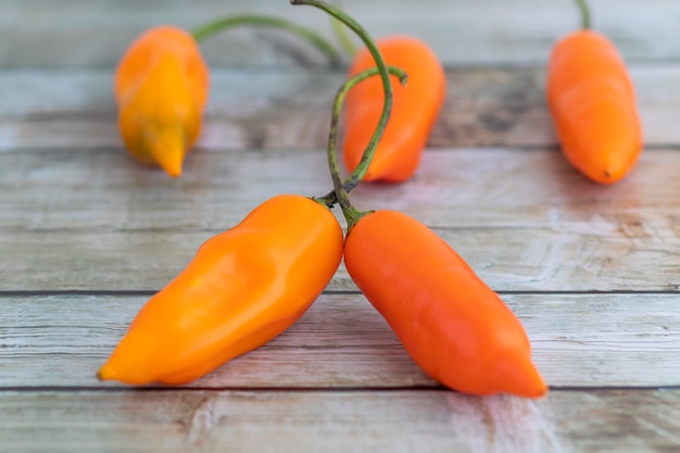 Yellow peppers, the main ingredient in Peruvian cuisine